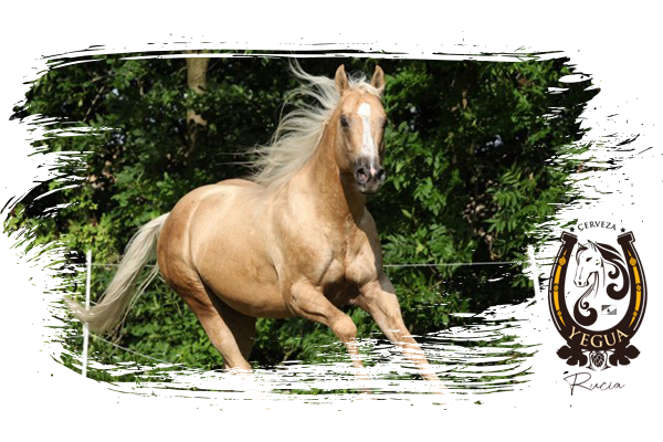 https://yegua.beer/wp-content/uploads/2022/11/yeguas_rucia.png
